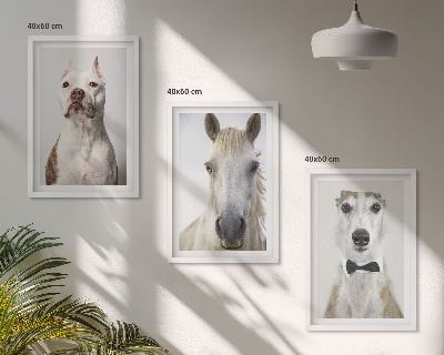 3 paveikslų rinkinys su rėmais Elegantiški šunų ir arklių portretai