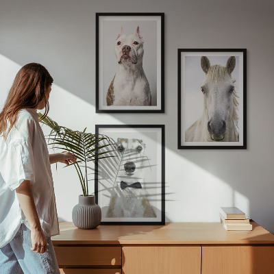 3 paveikslų rinkinys su rėmais Elegantiški šunų ir arklių portretai