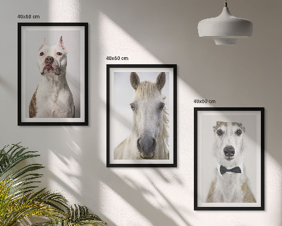 3 paveikslų rinkinys su rėmais Elegantiški šunų ir arklių portretai