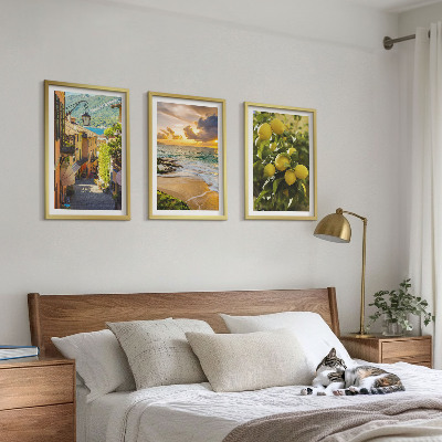3 paveikslų rinkinys su rėmais Gatvės, jūra, paplūdimys, citrusiniai medžiai