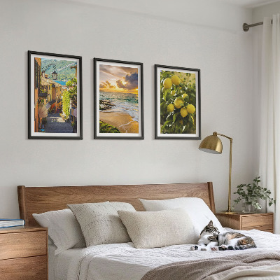 3 paveikslų rinkinys su rėmais Gatvės, jūra, paplūdimys, citrusiniai medžiai