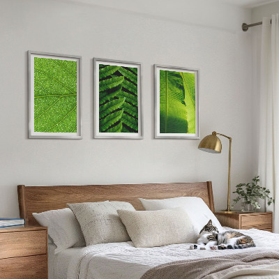 3 paveikslų rinkinys su rėmais Atogrąžų lapų makrofotografija