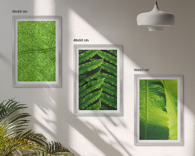3 paveikslų rinkinys su rėmais Atogrąžų lapų makrofotografija