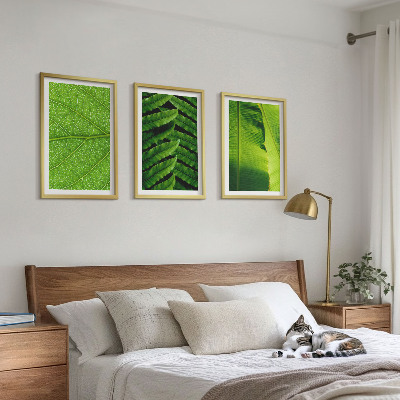 3 paveikslų rinkinys su rėmais Atogrąžų lapų makrofotografija
