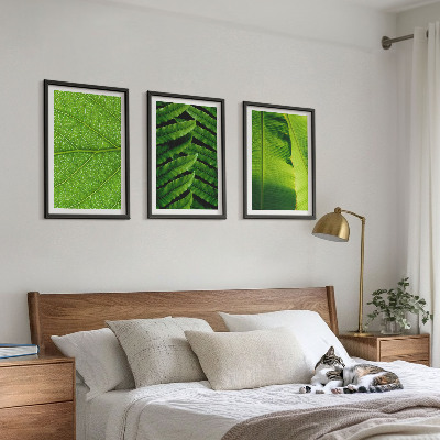 3 paveikslų rinkinys su rėmais Atogrąžų lapų makrofotografija