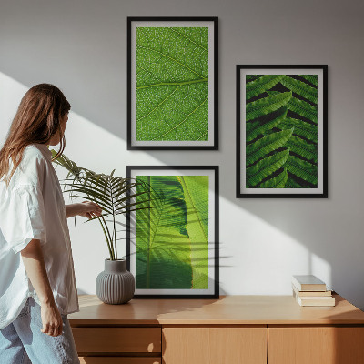 3 paveikslų rinkinys su rėmais Atogrąžų lapų makrofotografija