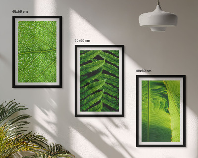 3 paveikslų rinkinys su rėmais Atogrąžų lapų makrofotografija