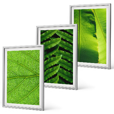 3 paveikslų rinkinys su rėmais Atogrąžų lapų makrofotografija