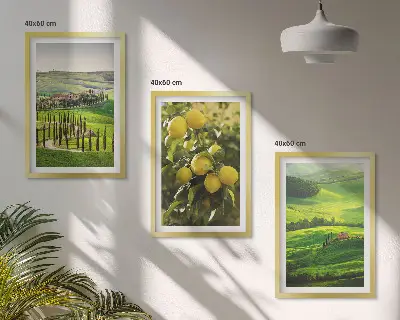 Įrėmintas triptikas itališkų citrusinių vaisių ir kalvų vaizdas