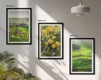 Įrėmintas triptikas itališkų citrusinių vaisių ir kalvų vaizdas