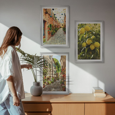 3 paveikslų rinkinys su rėmais Gatvės su citrinų žiedais fone