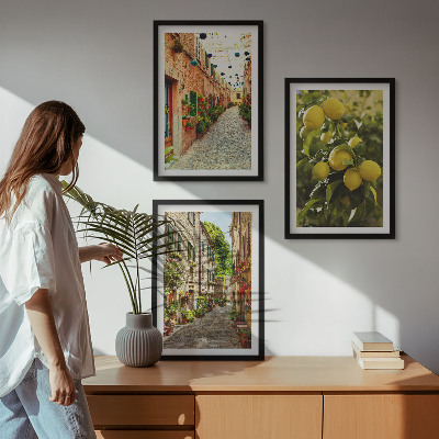 3 paveikslų rinkinys su rėmais Gatvės su citrinų žiedais fone