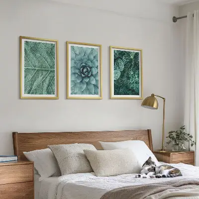 3 paveikslų rinkinys su rėmais augalų lapai stambiu planu