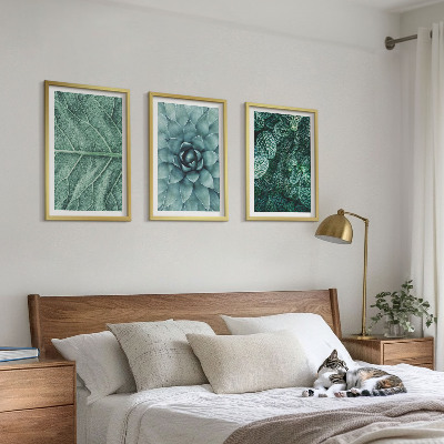 3 paveikslų rinkinys su rėmais Augalų lapų stambiu planu