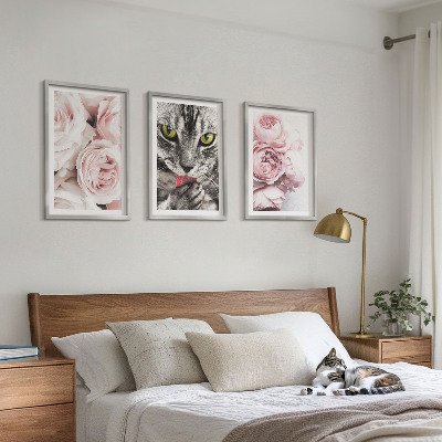 3 paveikslų rinkinys su rėmais Katė rožinėse gėlėse