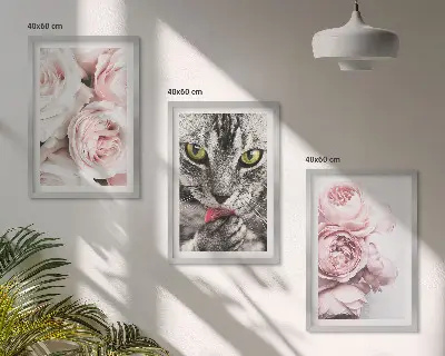 Katė rožinėse gėlėse 3 paveikslų rinkinys su rėmais