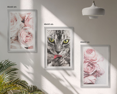 3 paveikslų rinkinys su rėmais Katė rožinėse gėlėse