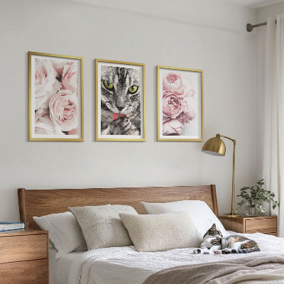 3 paveikslų rinkinys su rėmais Katė rožinėse gėlėse
