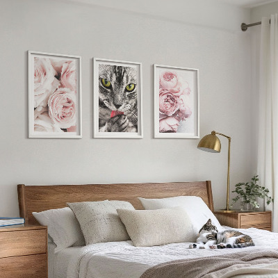 3 paveikslų rinkinys su rėmais Katė rožinėse gėlėse