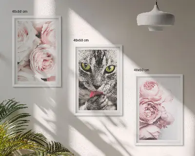 Katė rožinėse gėlėse 3 paveikslų rinkinys su rėmais