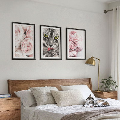 3 paveikslų rinkinys su rėmais Katė rožinėse gėlėse
