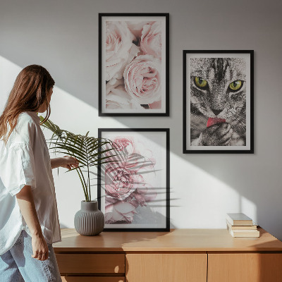 3 paveikslų rinkinys su rėmais Katė rožinėse gėlėse