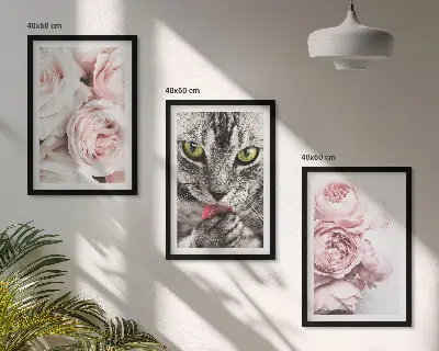 Katė rožinėse gėlėse 3 paveikslų rinkinys su rėmais