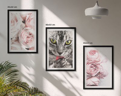 3 paveikslų rinkinys su rėmais Katė rožinėse gėlėse