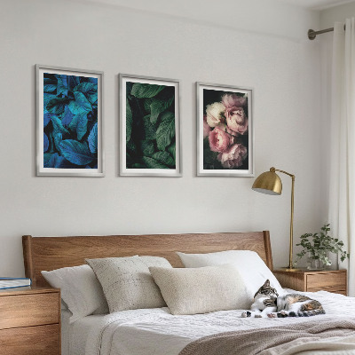 3 paveikslų rinkinys su rėmais Lapai, žiedai, skirtingos spalvos