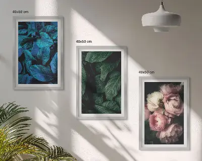 3 paveikslų rinkinys su rėmais lapai ir žiedai įvairių spalvų