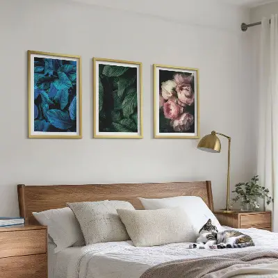 3 paveikslų rinkinys su rėmais lapai ir žiedai įvairių spalvų