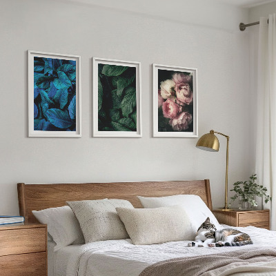 3 paveikslų rinkinys su rėmais Lapai, žiedai, skirtingos spalvos