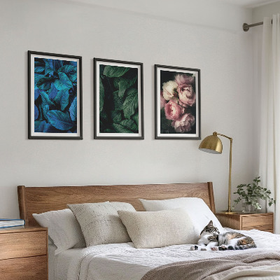 3 paveikslų rinkinys su rėmais Lapai, žiedai, skirtingos spalvos