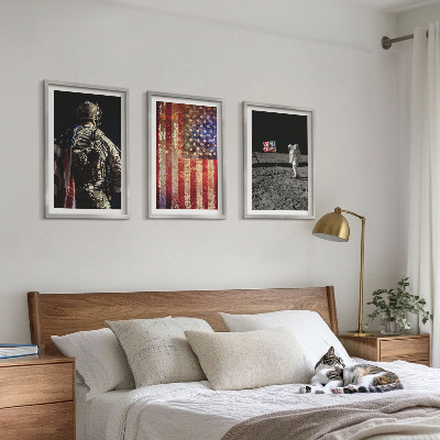 3 paveikslų rinkinys su rėmais Amerikos simboliai JAV vėliava