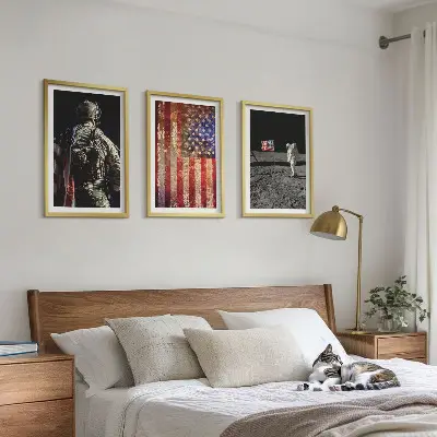 3 paveikslų rinkinys su rėmais amerikos simboliai ir JAV vėliava