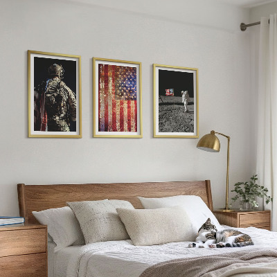 3 paveikslų rinkinys su rėmais Amerikos simboliai JAV vėliava