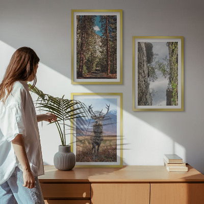3 paveikslų rinkinys su rėmais Kelias miškas kalnai elniai gamta