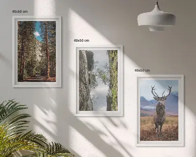3 paveikslų rinkinys su rėmais kelias, miškas, kalnai, elniai ir gamtos vaizdai