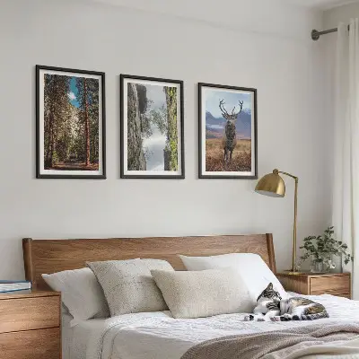 3 paveikslų rinkinys su rėmais kelias, miškas, kalnai, elniai ir gamtos vaizdai