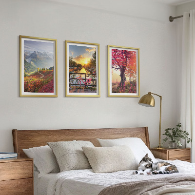 3 paveikslų rinkinys su rėmais Kalnų peizažai dviračiu