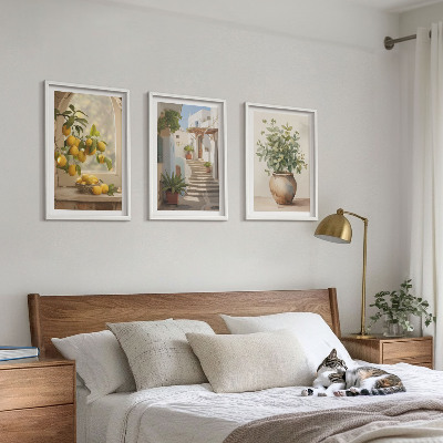 3 paveikslų rinkinys su rėmais Citrinos augalų vazoje