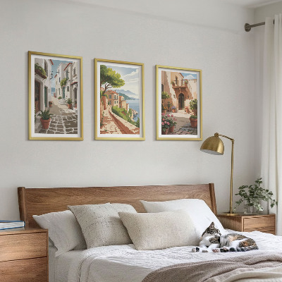 3 paveikslų rinkinys su rėmais Gatvės, namai, augalai, vazonai