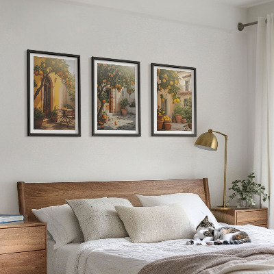 3 paveikslų rinkinys su rėmais Saulėtos terasos citrusinių vaisių vazonai