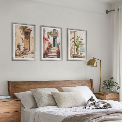 3 paveikslų rinkinys su rėmais Gatvės, gėlės ir dviračiai