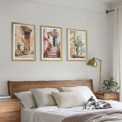3 paveikslų rinkinys su rėmais Gatvės, gėlės ir dviračiai