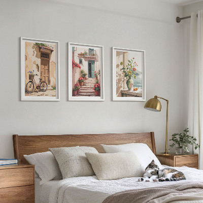 3 paveikslų rinkinys su rėmais Gatvės, gėlės ir dviračiai