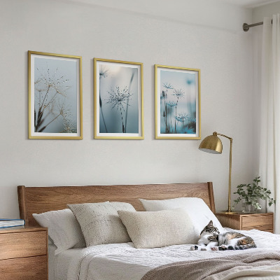3 paveikslų rinkinys su rėmais Kiaulpienės su vandens lašais