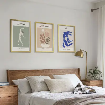 Matisso stiliaus augalų figūrų paveikslai 3 dalių rinkinys su rėmais