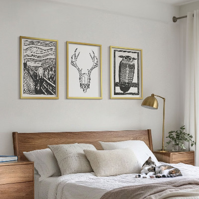 Įrėmintas triptikas Rėkiančios kaukolės pelėdos grafika