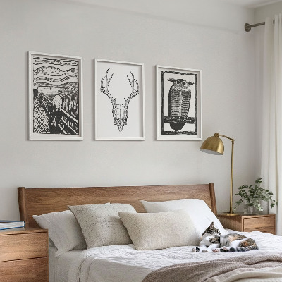 Įrėmintas triptikas Rėkiančios kaukolės pelėdos grafika